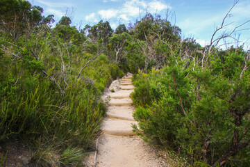 Prince Henry Cliff Walk from Katoomba to the Three Sisters rock formation in the Blue Mountains...