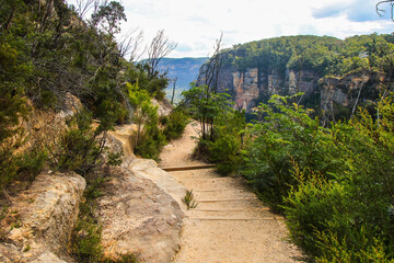 Fototapeta na wymiar Prince Henry Cliff Walk from Katoomba to the Three Sisters rock formation in the Blue Mountains National Park, New South Wales, Australia