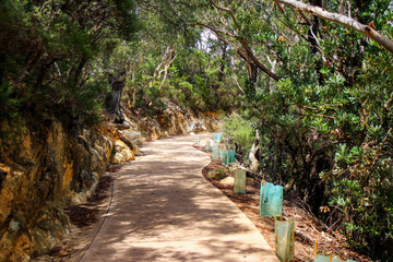 Prince Henry Cliff Walk from Katoomba to the Three Sisters rock formation in the Blue Mountains National Park, New South Wales, Australia