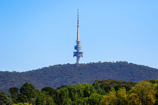 Radio tower at the summit of the Black Mountain in Canberra, Australian Capital Territory