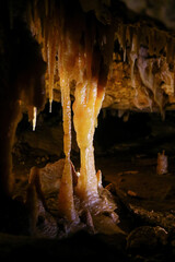 Column (stalagnate) in the Victoria Fossil Cave in the Naracoorte Caves National Park in South Australia - obrazy, fototapety, plakaty