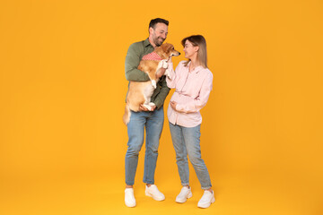 Happy young European man and pregnant woman posing with their corgi dog, radiating happiness against vibrant yellow background, full length