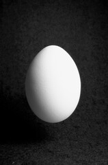 closeup of one single hen´s egg, chicken egg