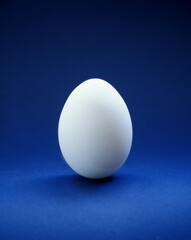 closeup of one single hen´s egg, chicken egg
