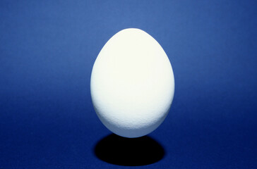 closeup of one single hen´s egg, chicken egg