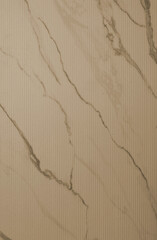 Abstract textured background with fine details

