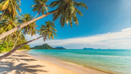closeup sea sand palm trees beach panoramic island landscape inspire tropical coast sea bay horizon...