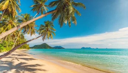 Poster closeup sea sand palm trees beach panoramic island landscape inspire tropical coast sea bay horizon sunny blue sky calm tranquil relax summer vacation travel holiday background freedom nature © Mac