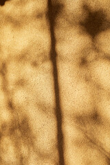 【岡山県倉敷市美観地区】木陰