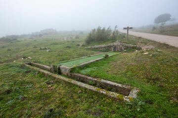 Typical cattle watering source existing in Spain, it is in the Extremadura pasture.