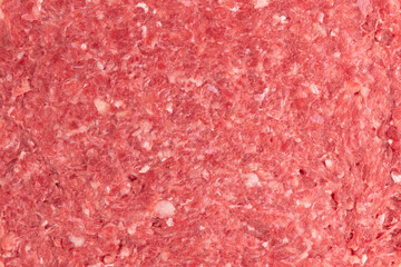 background of raw minced meat, texture of fresh forcemeat pork and beef, performance for lasagna or meatball