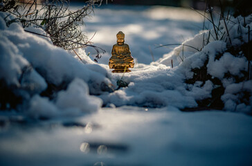 Buddha sculpture in environment