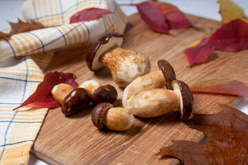 Several Imleria Badia or Boletus badius mushrooms commonly known as the bay bolete on wooden cutting board..