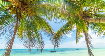 Crédence de cuisine en verre imprimé Anse Source D'Agent, île de La Digue, Seychelles Palm trees over the sea in a tropical beach