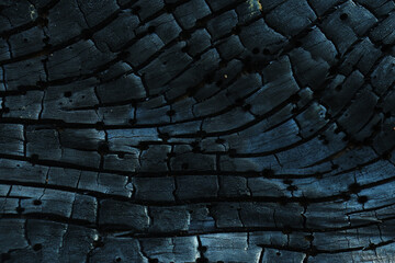 Close up Surface of charcoal. Black charcoal bark background - obrazy, fototapety, plakaty