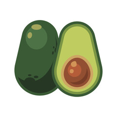 illustration of avocado, avocado cut with pit, vector