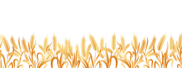 Seamless border of spikelets of wheat, rye, barley with copy space. Background, vector - obrazy, fototapety, plakaty