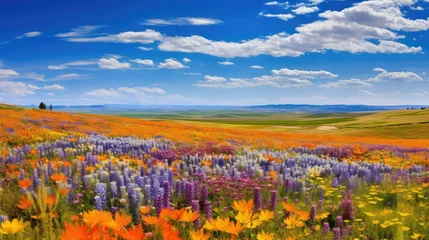 Foto op Canvas wild prairie flowers © PikePicture