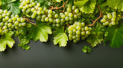 Green grape fruits and leaves on a dark background, generative ai