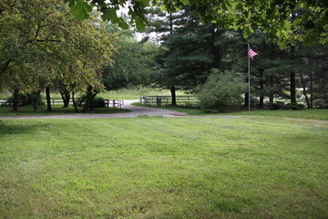 Obraz premium Lawn in the field.