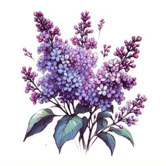 Botanical Beauty: Sketching the Timeless Charm of Lilac