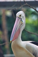 Port Douglas, Queensland, Australia