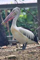 Port Douglas, Queensland, Australia