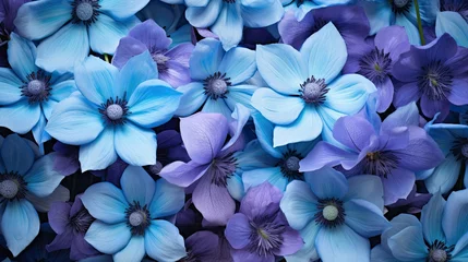 Keuken spatwand met foto violet blue purple flowers © PikePicture