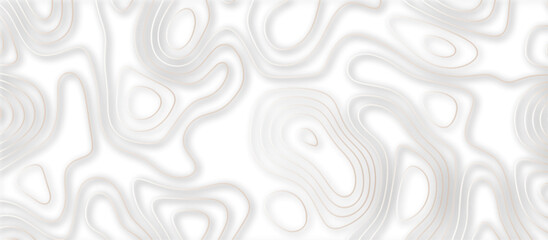 Abstract topographic contours 3d map background .topographic line texture background .monochrome image .stylized height of the topographic map contour in lines.