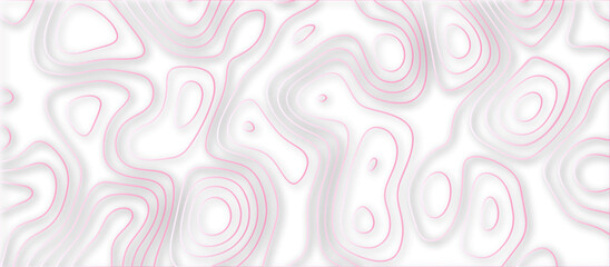 Abstract topographic contours 3d map background .topographic line texture background .monochrome image .stylized height of the topographic map contour in lines.