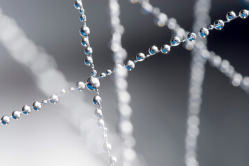 small blue water droplets hang on fishing line