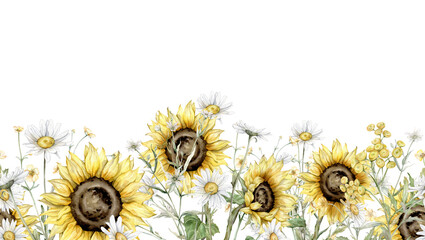 Seamless frame banner watercolor Daisy and sunflower. Hand drawn illustration on isolated background. Meadow bouquet of white blossom flowers chamomile. Drawing botanical border with paint wildflower.
