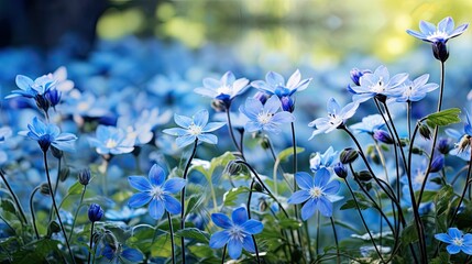 me blue spring flowers - obrazy, fototapety, plakaty