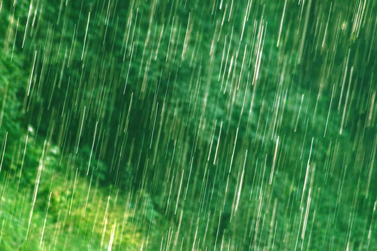 many bright raindrops of a rain shower against green background, motion blur