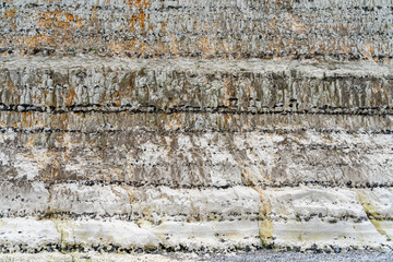 Chalk cliff closeup