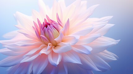 Fototapeta premium petal blurred flower