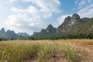 Landscape in Yangshuo Guilin China