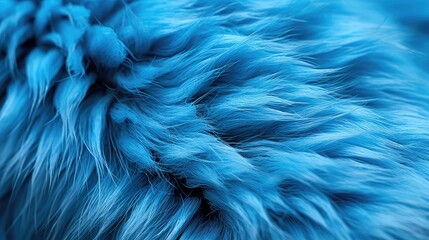 pet blue dog paw