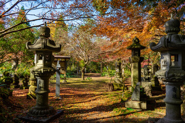 Fototapeta premium 道隆寺跡の紅葉の風景（肝付町）