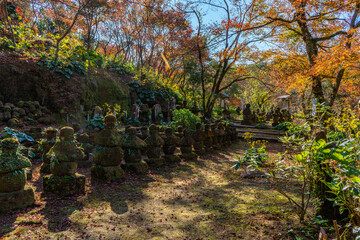 道隆寺跡の紅葉の風景（肝付町）