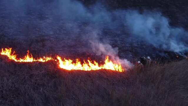 firefighters working suppressing wildfire, aerial video. dry grass burning in spring. environment, wildfires in Chile, South America. big forest fires 2024