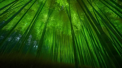 Fotobehang Groen bamboo grove in china, bioluminescent, background, backdrop, screensaver, aspect-ratio 16:9, abstraction, illustration, landscape background, surreal