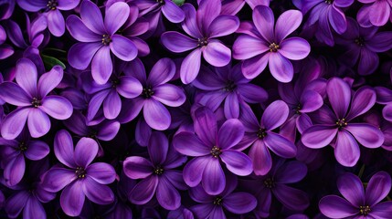 floral purple flower background - Powered by Adobe