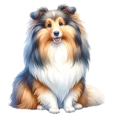Fotobehang Cute isolated watercolor dog breed clipart of sheltie © Juibo