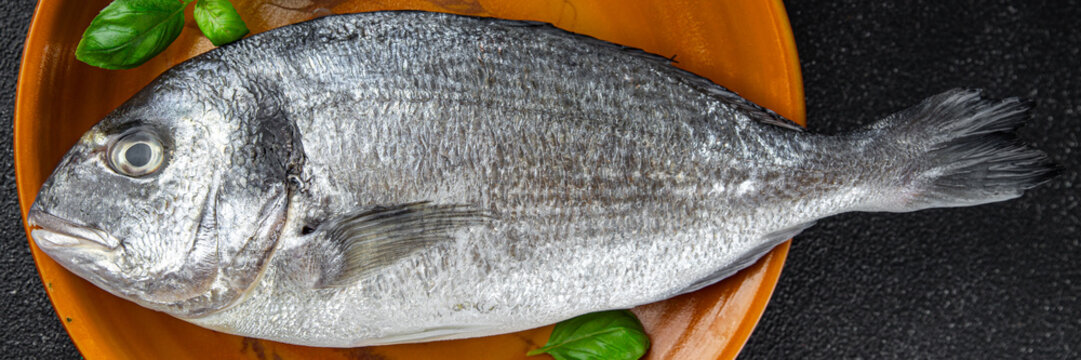 sea bream fish raw seafood fresh eating cooking meal food snack on the table copy space food background rustic top view