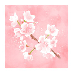 淡い桜のイラスト