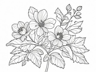 tree branch line floral hand-drawn sketch