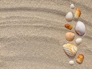 Fototapeta na wymiar Sand and shells. View from above. Summer background. The backdrop. Sea background, shore, beach. Outdoors. Copy space