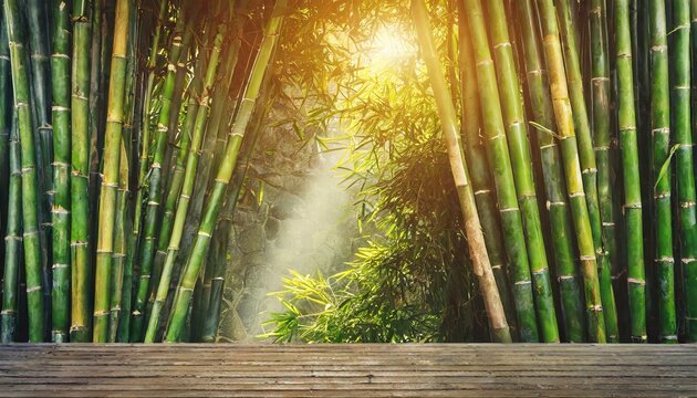 Bamboo forest background with wooden porch for asian product display. Chinese jungle