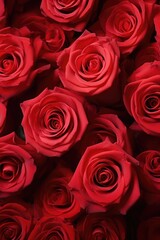 A bunch of red roses on a table, suitable for various occasions